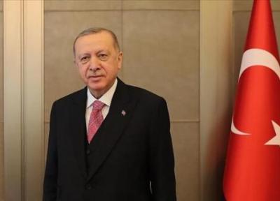 اردوغان از تقویت حضور اتباع ترکیه در اروپا و دنیا سخن گفت