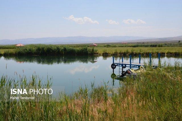 ثریا در نقطه صفر مرزی دیدنی است + تصاویر