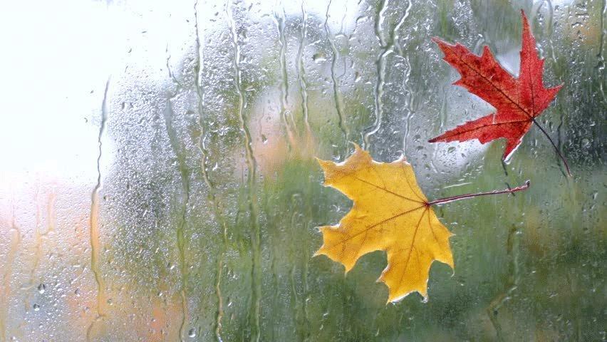 باران برای خوزستان