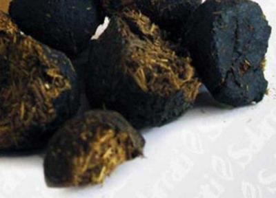 تمام خواص عنبرنسارا از زبان یک متخصص طب ایرانی